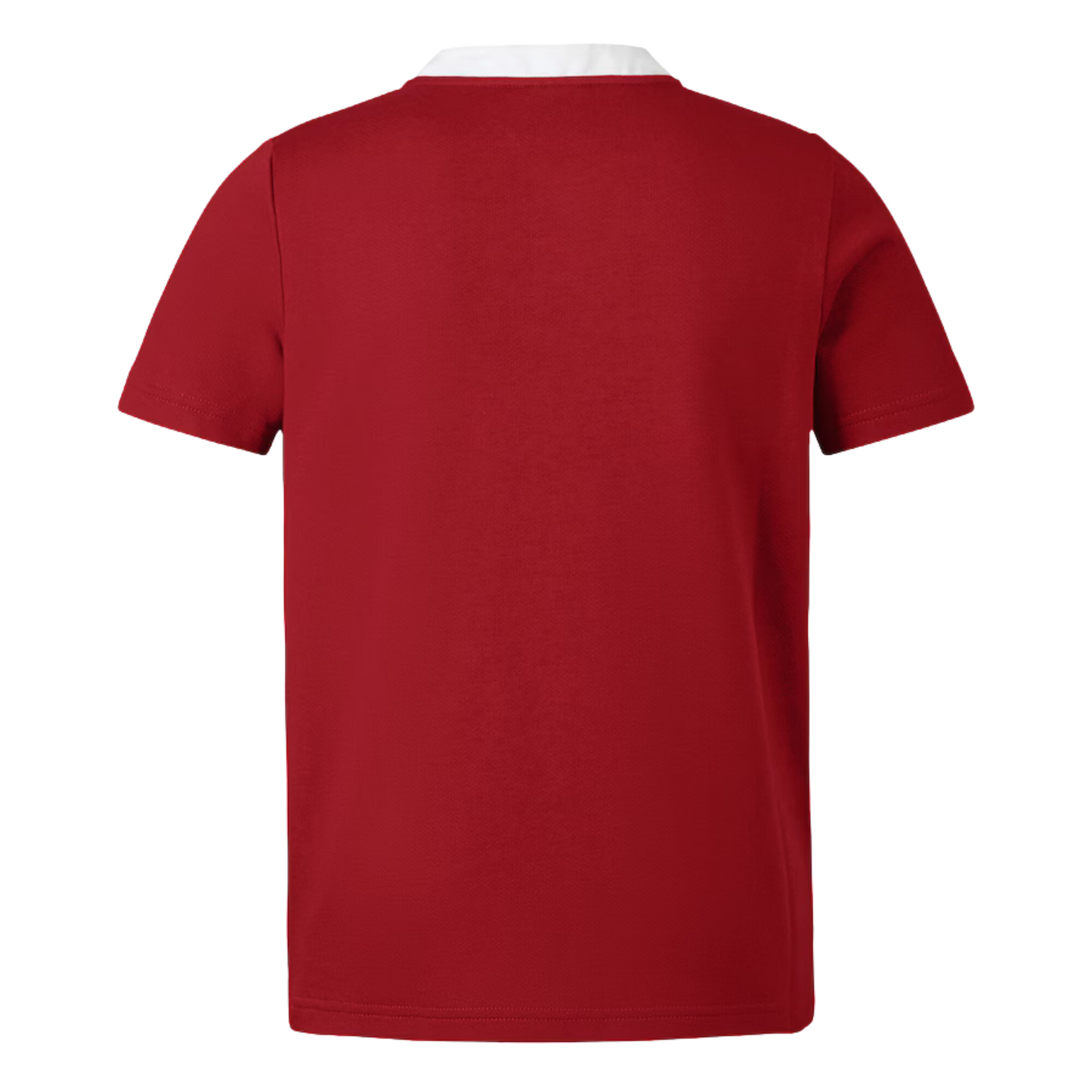 British & Irish Lions 2025 Replica Jersey - Unisex
