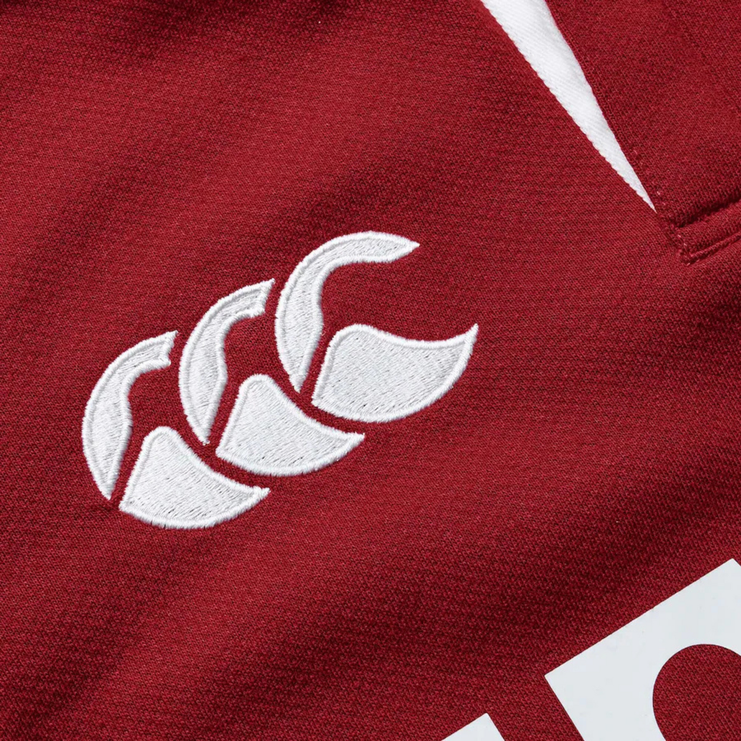 British & Irish Lions 2025 Replica Jersey - Unisex
