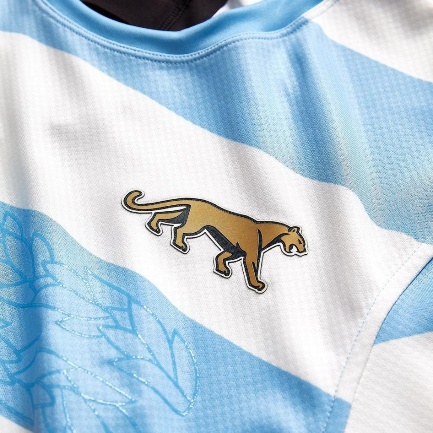 Argentina Los Pumas Men's Home Rugby Jersey 24/25