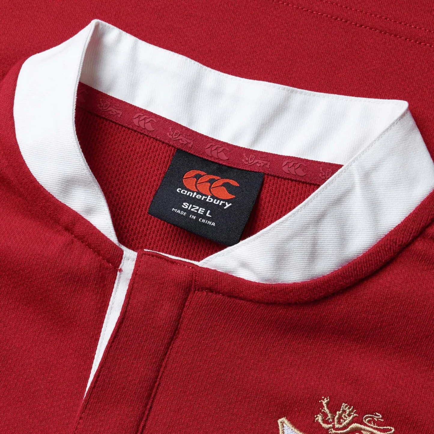 British & Irish Lions 2025 Replica Jersey - Unisex